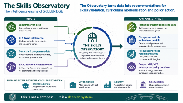 Skills Observatory visual