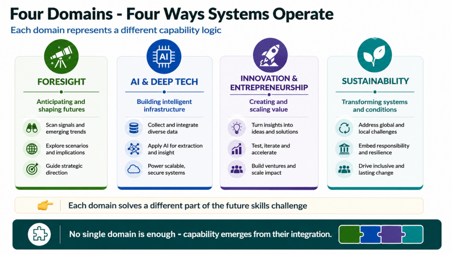 Four domains - four ways systems operate